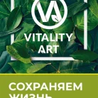 Стоматологическая клиника Виталити Арт Фотография 2