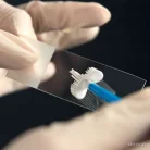 Медицинский центр Gsmed Фотография 5