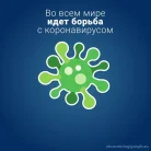 Стоматологическая поликлиника №6 на Ижорской улице Фотография 3