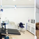 Стоматологическая клиника Вероника на улице Савушкина Фотография 2