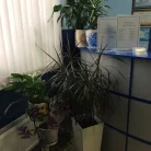 Стоматологическая клиника Медикал-дент Фотография 8