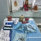 Стоматология СтоКос Фотография 3