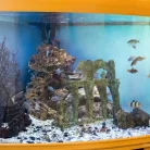 Стоматологическая клиника Примавера Фотография 5