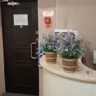 Стоматология Улыбка Фотография 6