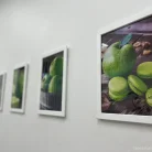 Стоматология Витаника на Политехнической улице Фотография 5