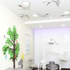 Эстетическая стоматология Atribeaute Dental Boutique на Новочеркасском проспекте Фотография 8