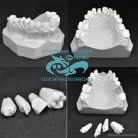 Malevich Dental Lab Фотография 1